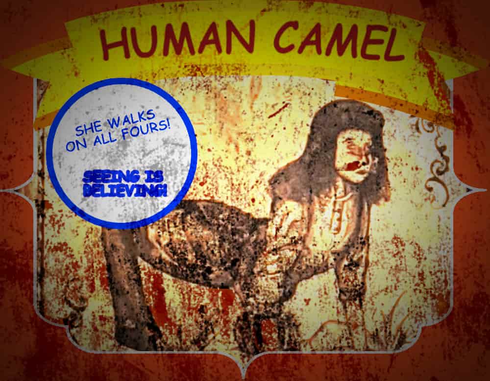 Human Camel