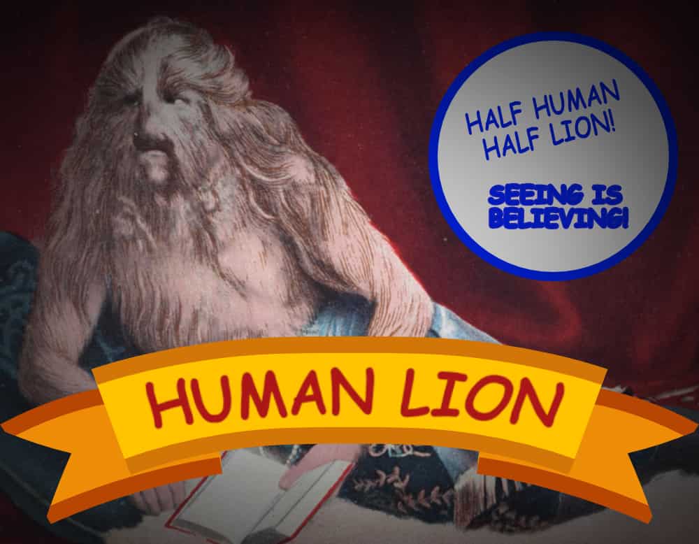 Human Lion