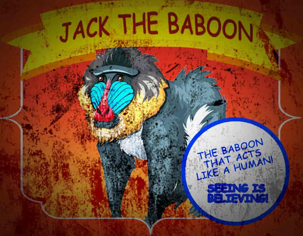 Jack the Baboon