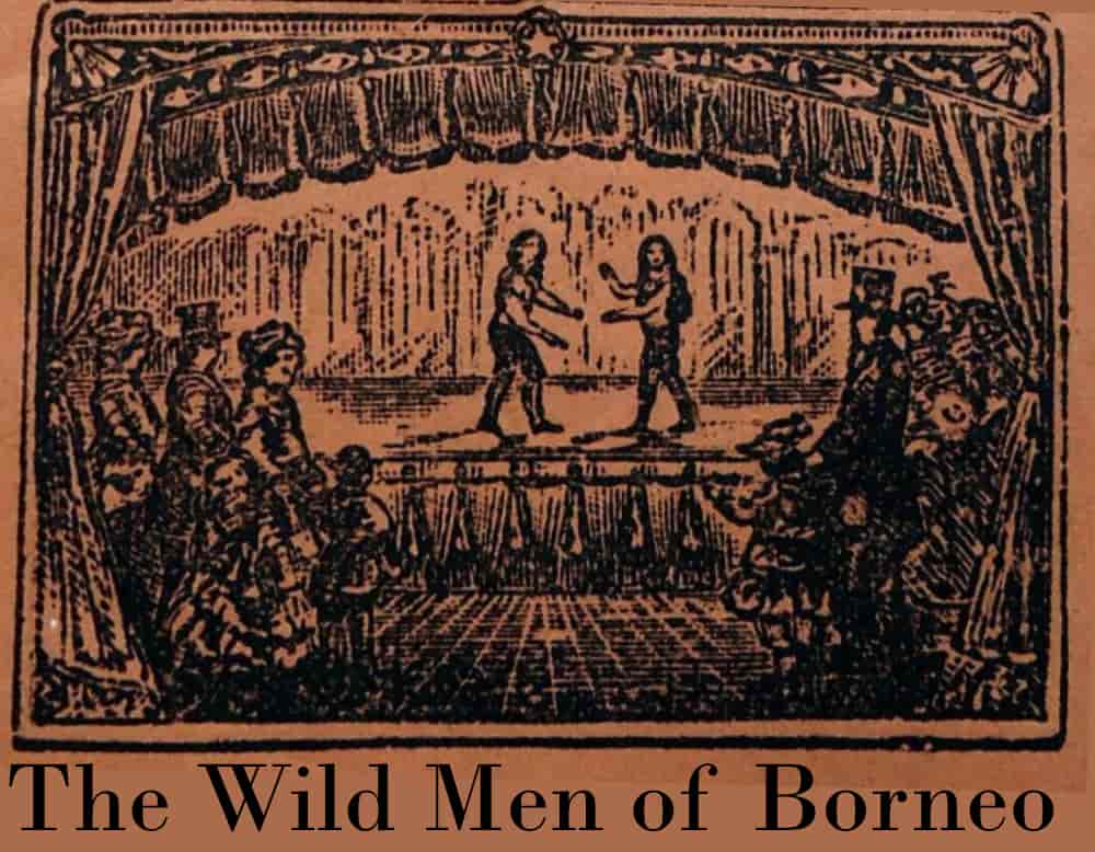 The Wild Men of Borneo